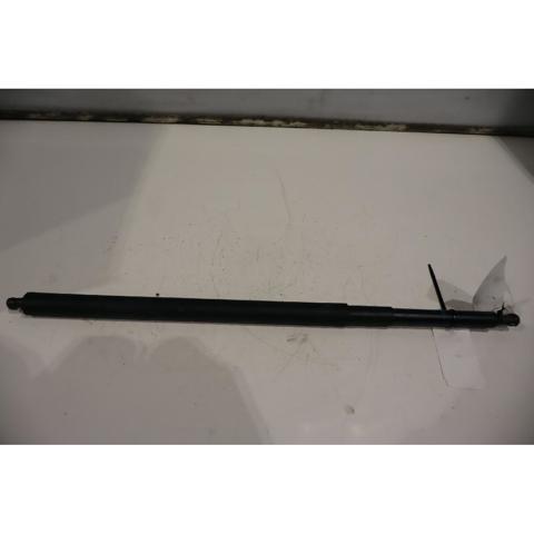 Amortecedor de tampa de porta-malas (de 3ª/5ª porta traseira) 7178273 BMW