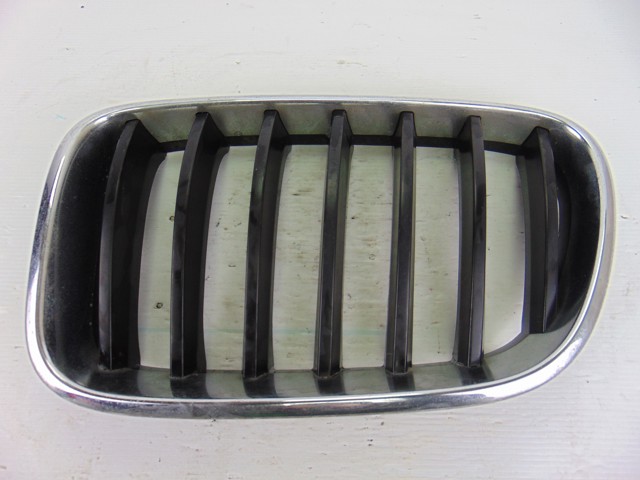 Grelha do radiador esquerda 7210725 BMW