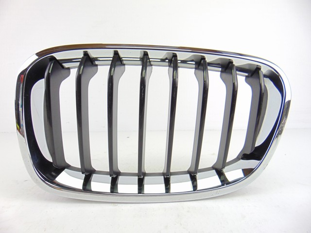 Grelha do radiador esquerda 7239021 BMW
