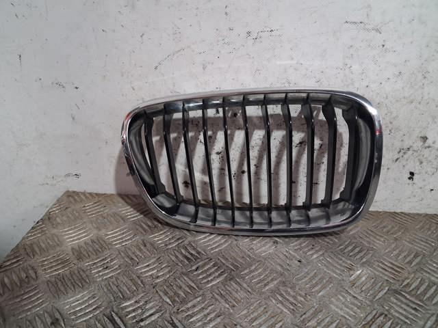 Grelha do radiador direita 7239022 BMW