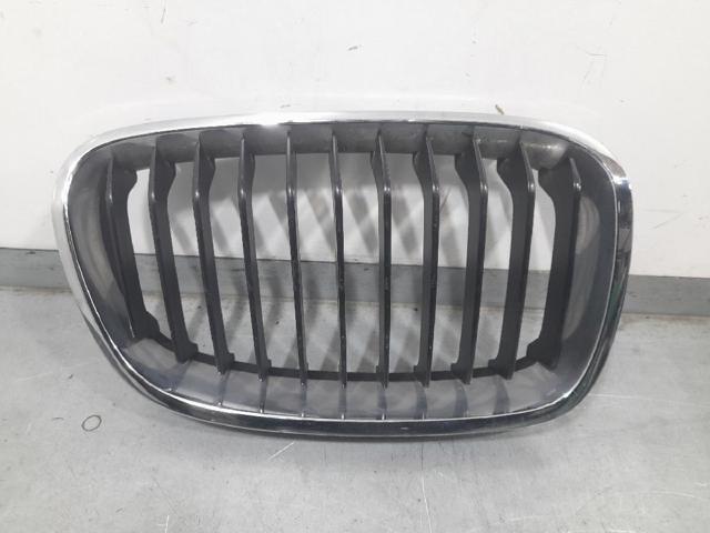 Grelha do radiador direita 7239022 BMW