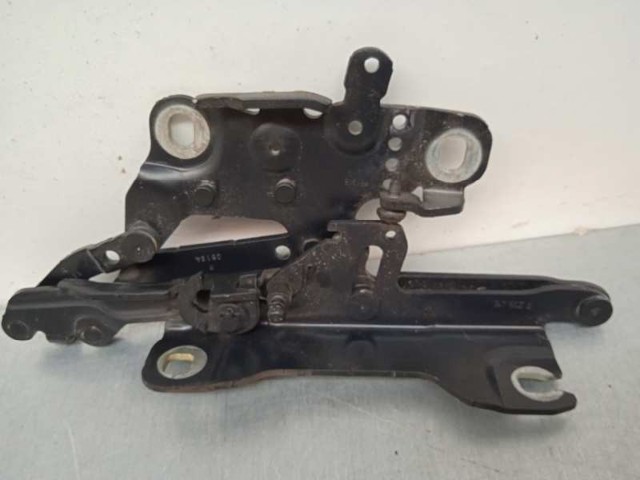 Gozno da capota direito 7239416 BMW