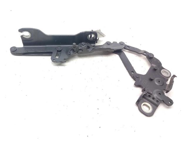 Gozno da capota direito 7239416 BMW
