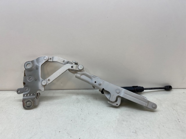 Gozno da capota direito 7239416 BMW