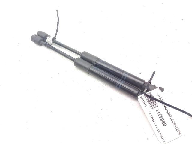 Amortecedor da capota 7255812 BMW
