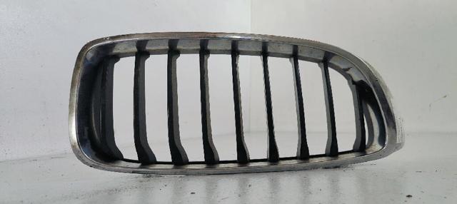 Grelha do radiador direita 7294818 BMW