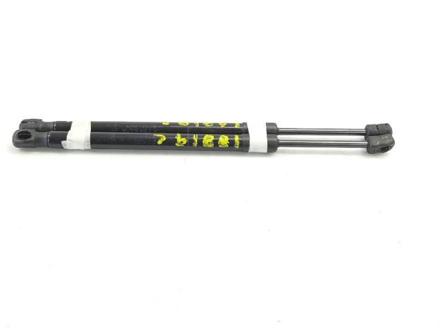 Amortecedor da capota 7308065 BMW