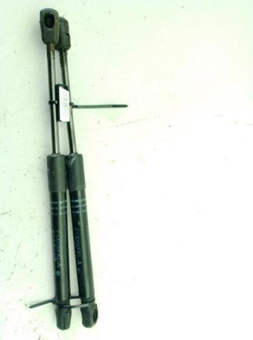 Amortecedor da capota 7309117 BMW