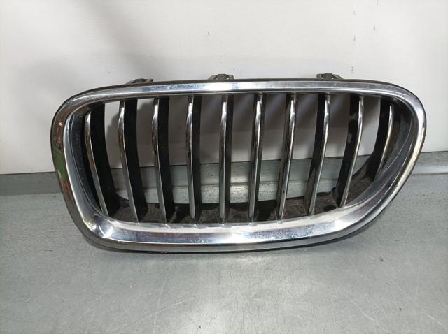 Grelha do radiador esquerda 7336477 BMW