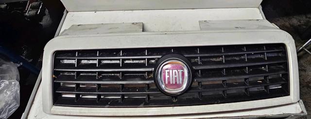 Grelha do radiador 735418095 FIAT