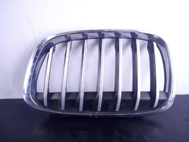 Grelha do radiador esquerda 7354823 BMW