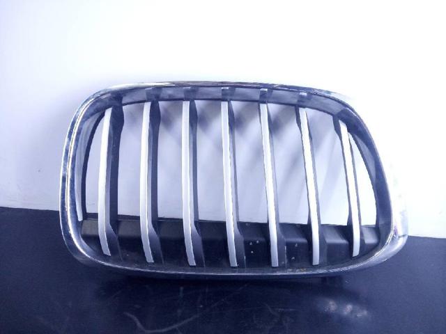 Grelha do radiador direita 7354824 BMW
