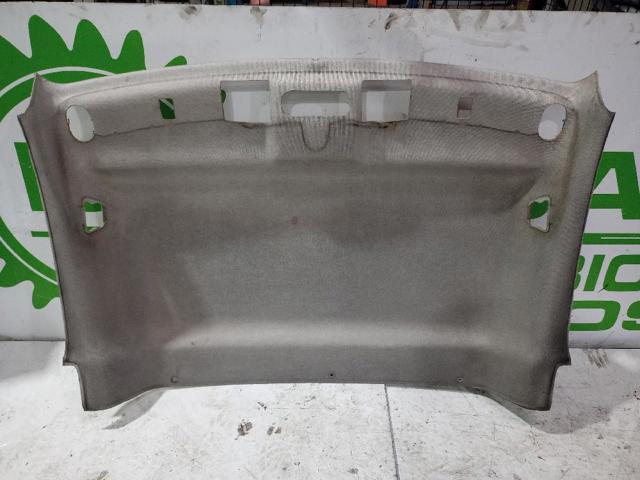 Revestimento do teto para Renault Kangoo FW0