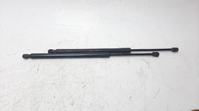 Amortecedor de tampa de porta-malas (de 3ª/5ª porta traseira) 74820TGGA011 HONDA