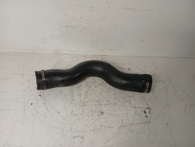 Mangueira (cano derivado) de intercooler 7700300361 RENAULT