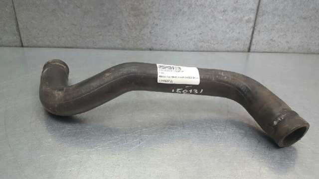 Mangueira (cano derivado) do radiador de esfriamento superior 7700426722 RENAULT
