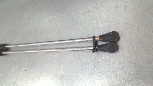 Amortecedor de tampa de porta-malas (de 3ª/5ª porta traseira) 7700756056 RENAULT