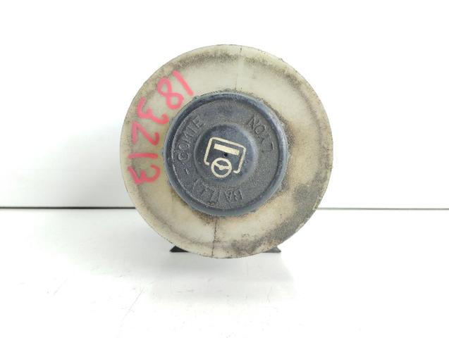 Tanque de bomba da Direção hidrâulica assistida Renault 21 S48