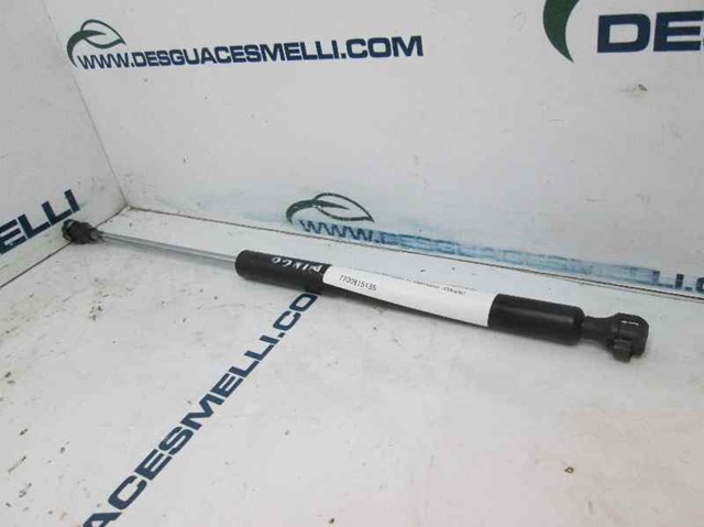 7700815135 Renault (RVI)