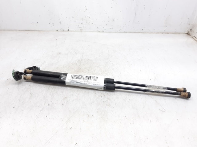7700828454 Renault (RVI)