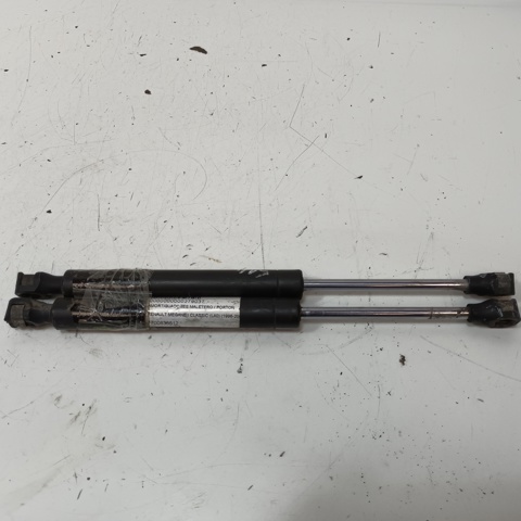 7700838612 Renault (RVI)