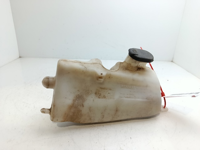 7700847815 Renault (RVI)