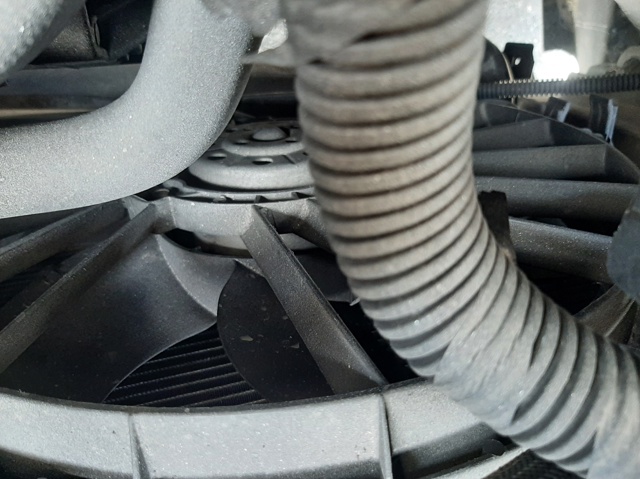 7701071862 Renault (RVI)