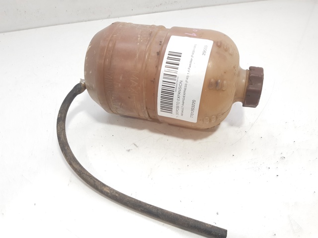 7701203220 Renault (RVI)