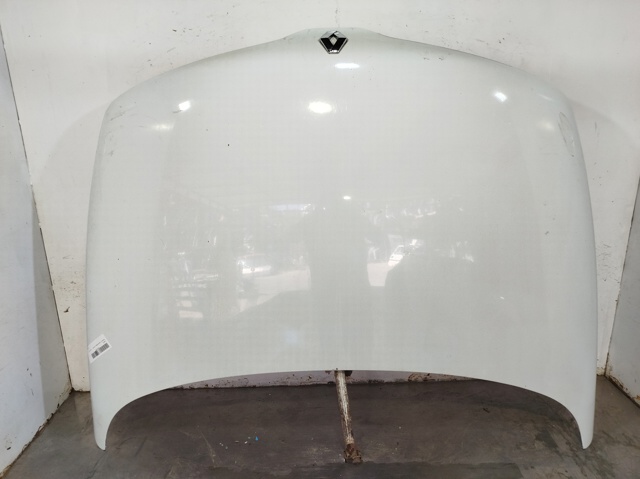  Laguna I hatchback (1993-2002) original desde 201,95 €