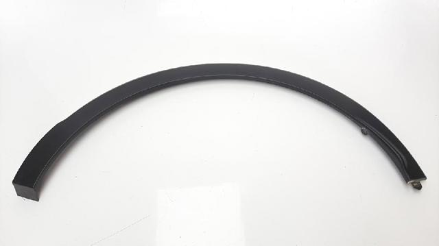 Expansor esquerdo (placa sobreposta) de arco do pára-lama traseiro 788A38847R RENAULT