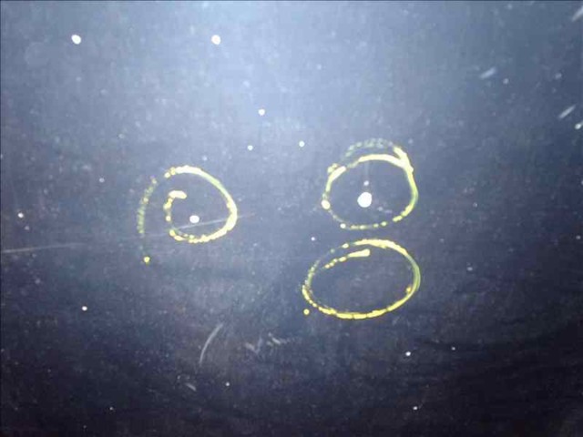 7M0823031D VAG