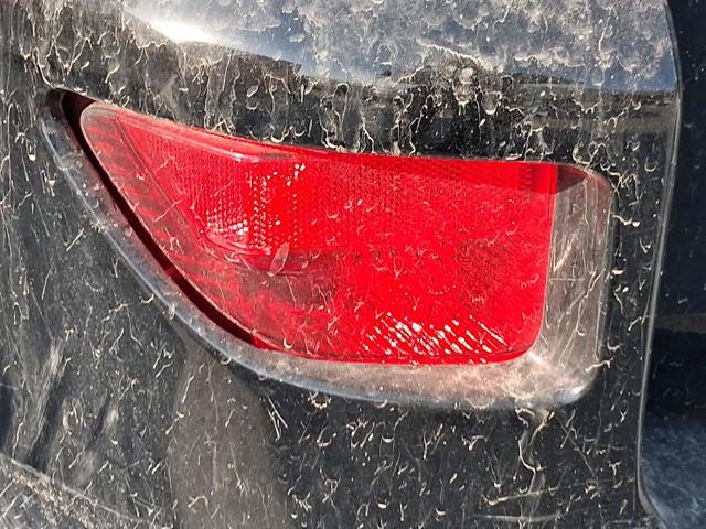 Lanterna de nevoeiro traseira esquerda 8145642010 TOYOTA