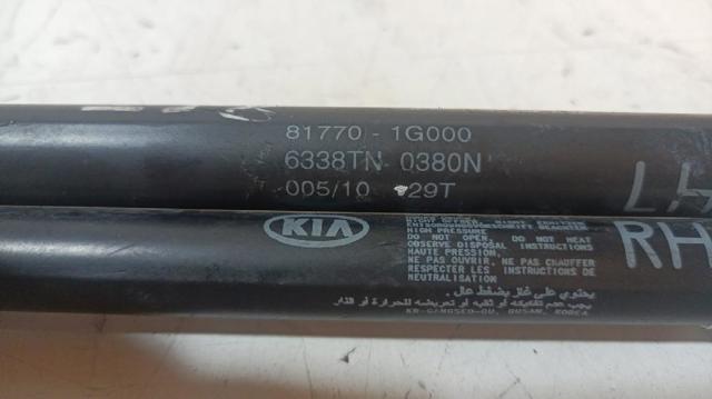 817701G000 Hyundai/Kia