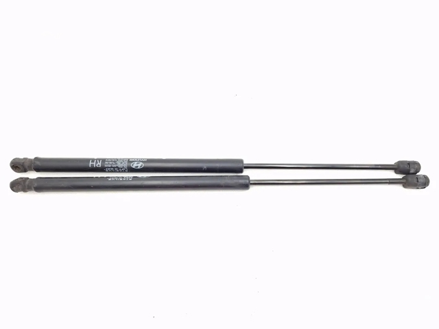 Amortecedor de tampa de porta-malas (de 3ª/5ª porta traseira) 817702L201 HYUNDAI
