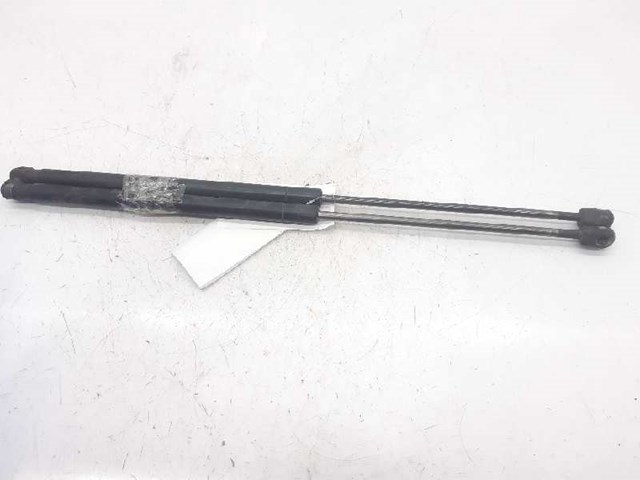 Amortecedor de tampa de porta-malas (de 3ª/5ª porta traseira) Suzuki Ignis II FH ao melhor preço