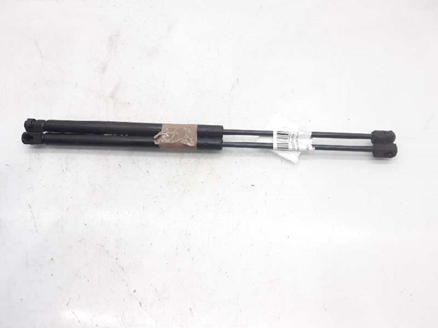 Amortecedor de tampa de porta-malas (de 3ª/5ª porta traseira) 8200000902 RENAULT