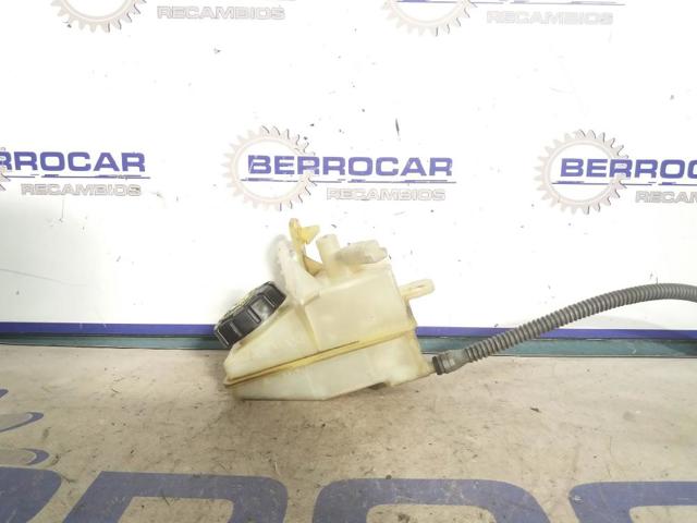 8200021398 Renault (RVI)