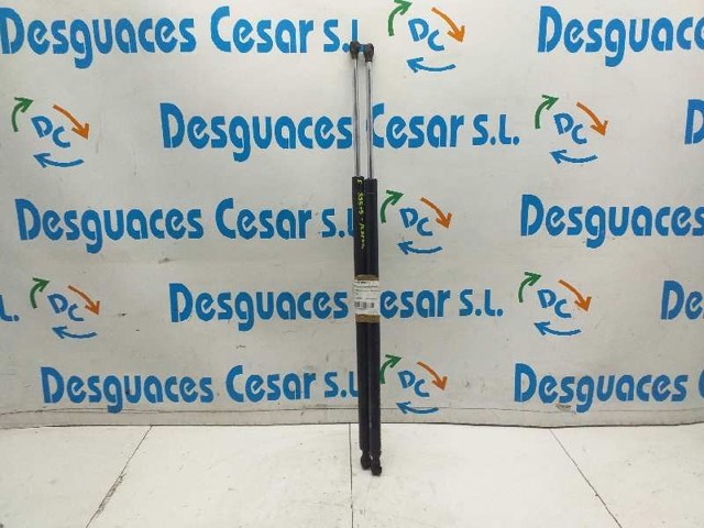 Amortecedor de tampa de porta-malas (de 3ª/5ª porta traseira) 8200021975 RENAULT