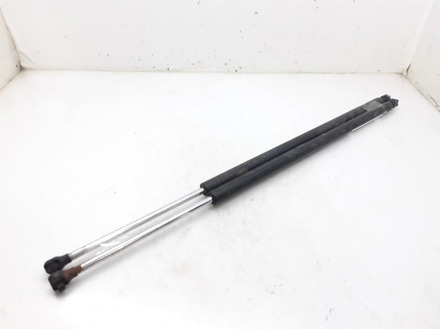 Amortecedor de tampa de porta-malas (de 3ª/5ª porta traseira) 8200021975 RENAULT