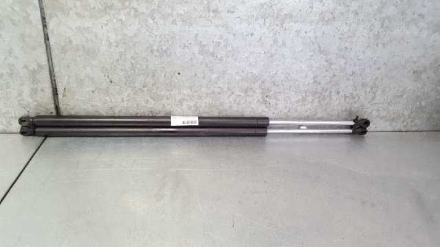Amortecedor de tampa de porta-malas (de 3ª/5ª porta traseira) 8200021975 RENAULT