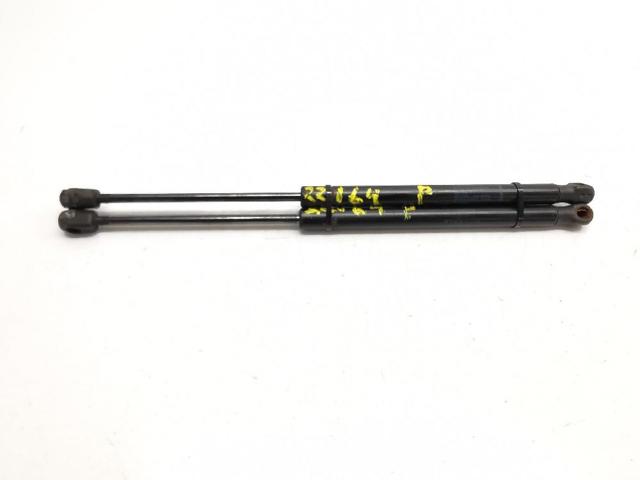 Amortecedor de tampa de porta-malas (de 3ª/5ª porta traseira) 8200051750 RENAULT