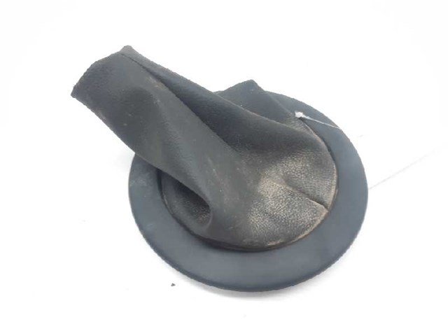 8200079096 Renault (RVI)