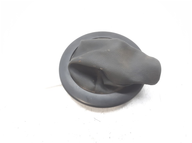 8200079096 Renault (RVI)