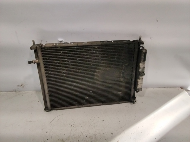 Radiador de esfriamento de motor 8200134606 RENAULT