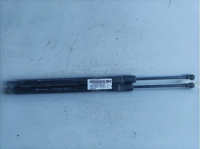 8200219322 Renault (RVI)