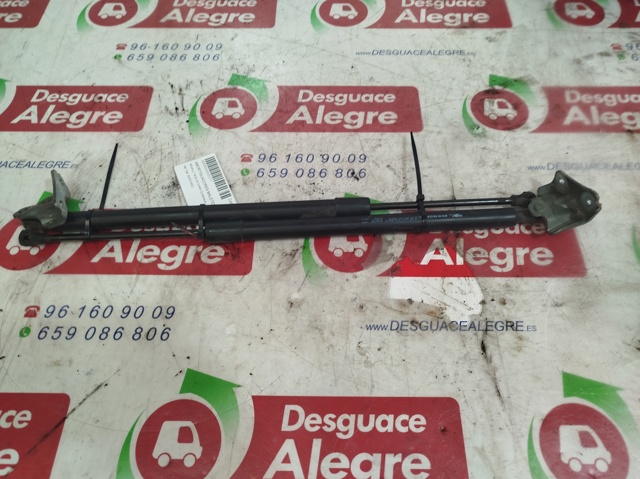 8200219322 Renault (RVI)