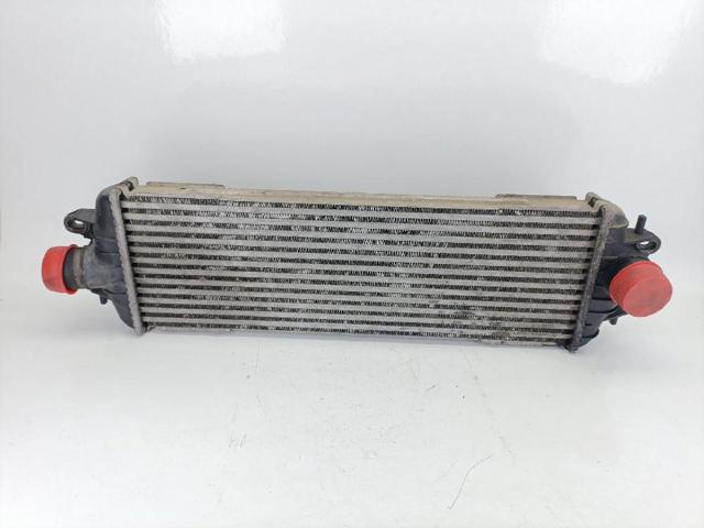 8200219497 Renault (RVI)