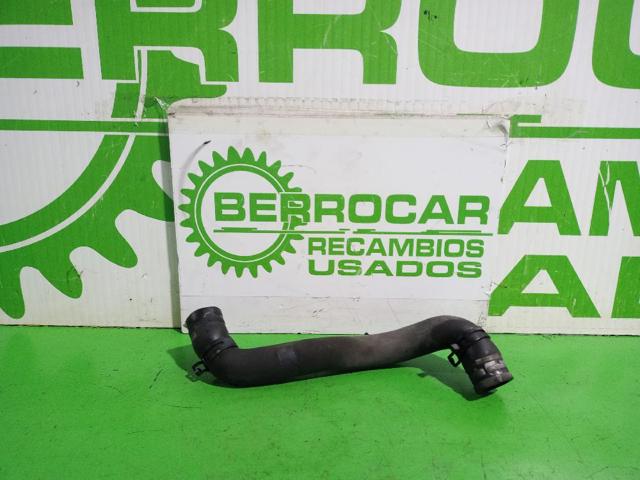 Mangueira (cano derivado) do radiador de esfriamento superior 8200233966 RENAULT