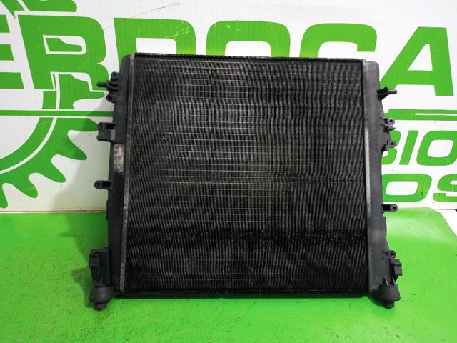 Radiador de esfriamento de motor 8200240818 RENAULT