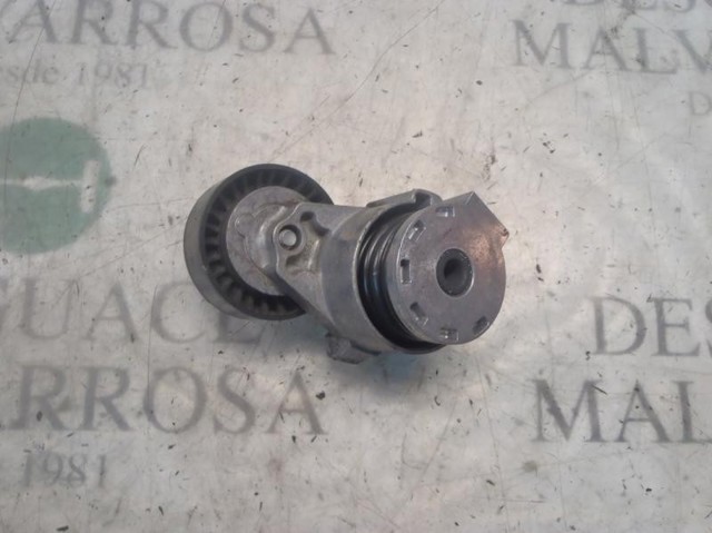 Rolo de reguladora de tensão da correia de transmissão 8200275844 RENAULT